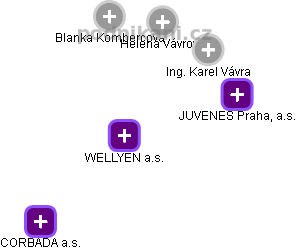 WELLYEN a.s. - obrázek vizuálního zobrazení vztahů obchodního rejstříku