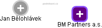 BM Partners a.s. - obrázek vizuálního zobrazení vztahů obchodního rejstříku