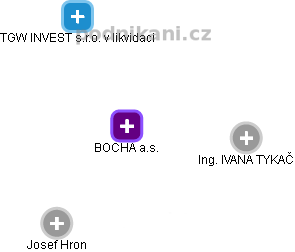 BOCHA a.s. - obrázek vizuálního zobrazení vztahů obchodního rejstříku