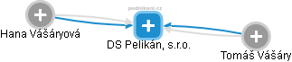DS Pelikán, s.r.o. - obrázek vizuálního zobrazení vztahů obchodního rejstříku