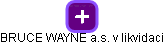 BRUCE WAYNE a.s. v likvidaci - obrázek vizuálního zobrazení vztahů obchodního rejstříku