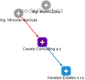 Caselo Consulting a.s. - obrázek vizuálního zobrazení vztahů obchodního rejstříku