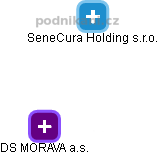 DS MORAVA a.s. - obrázek vizuálního zobrazení vztahů obchodního rejstříku