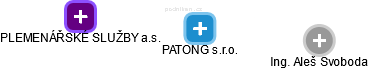 PATONG s.r.o. - obrázek vizuálního zobrazení vztahů obchodního rejstříku