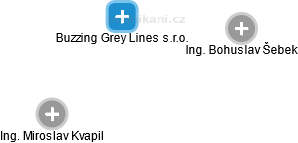 Buzzing Grey Lines s.r.o. - obrázek vizuálního zobrazení vztahů obchodního rejstříku
