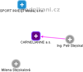 CARNELIANNE a.s. - obrázek vizuálního zobrazení vztahů obchodního rejstříku