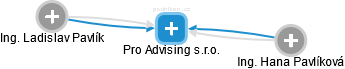 Pro Advising s.r.o. - obrázek vizuálního zobrazení vztahů obchodního rejstříku