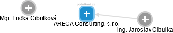 ARECA Consulting, s.r.o. - obrázek vizuálního zobrazení vztahů obchodního rejstříku