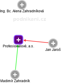 Profesionálové, a.s. - obrázek vizuálního zobrazení vztahů obchodního rejstříku