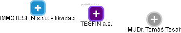 TESFIN a.s. - obrázek vizuálního zobrazení vztahů obchodního rejstříku