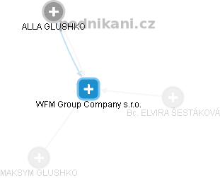 WFM Group Company s.r.o. - obrázek vizuálního zobrazení vztahů obchodního rejstříku