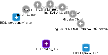 BIDLI holding, a.s. - obrázek vizuálního zobrazení vztahů obchodního rejstříku