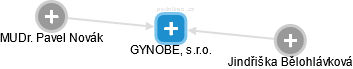 GYNOBE, s.r.o. - obrázek vizuálního zobrazení vztahů obchodního rejstříku