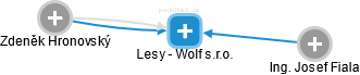 Lesy - Wolf s.r.o. - obrázek vizuálního zobrazení vztahů obchodního rejstříku