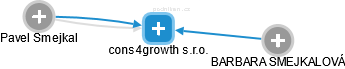cons4growth s.r.o. - obrázek vizuálního zobrazení vztahů obchodního rejstříku