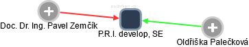 P.R.I. develop, SE - obrázek vizuálního zobrazení vztahů obchodního rejstříku