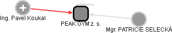PEAK GYM z. s. - obrázek vizuálního zobrazení vztahů obchodního rejstříku