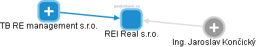 REI Real s.r.o. - obrázek vizuálního zobrazení vztahů obchodního rejstříku