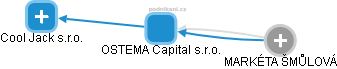 OSTEMA Capital s.r.o. - obrázek vizuálního zobrazení vztahů obchodního rejstříku