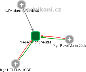Nadační fond Veritas - obrázek vizuálního zobrazení vztahů obchodního rejstříku