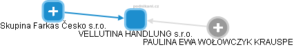 VELLUTINA HANDLUNG s.r.o. - obrázek vizuálního zobrazení vztahů obchodního rejstříku