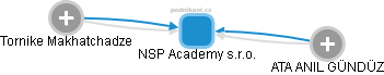 NSP Academy s.r.o. - obrázek vizuálního zobrazení vztahů obchodního rejstříku