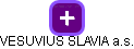 VESUVIUS SLAVIA a.s. - obrázek vizuálního zobrazení vztahů obchodního rejstříku