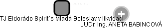 TJ Eldorádo Spirit´s Mladá Boleslav v likvidaci - obrázek vizuálního zobrazení vztahů obchodního rejstříku