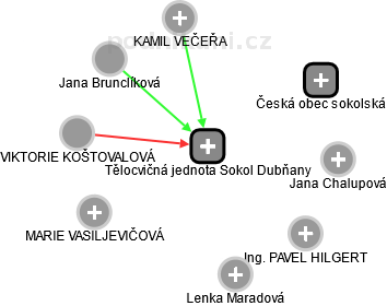 Tělocvičná jednota Sokol Dubňany - obrázek vizuálního zobrazení vztahů obchodního rejstříku