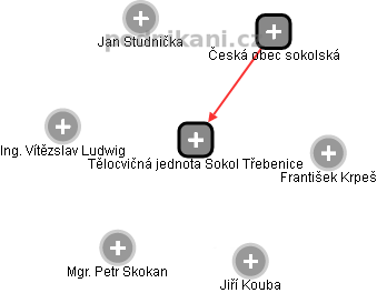 Tělocvičná jednota Sokol Třebenice - obrázek vizuálního zobrazení vztahů obchodního rejstříku