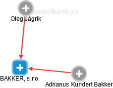 BAKKER, s.r.o. - obrázek vizuálního zobrazení vztahů obchodního rejstříku