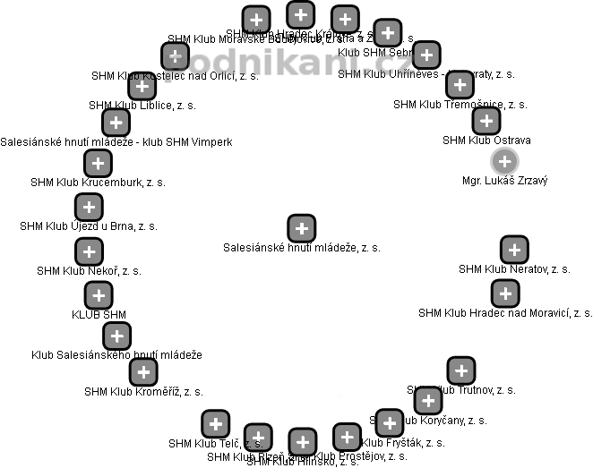 Salesiánské hnutí mládeže, z. s. - obrázek vizuálního zobrazení vztahů obchodního rejstříku