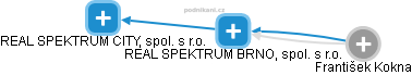 REAL SPEKTRUM BRNO, spol. s r.o. - obrázek vizuálního zobrazení vztahů obchodního rejstříku