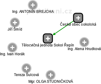 Tělocvičná jednota Sokol Řepín - obrázek vizuálního zobrazení vztahů obchodního rejstříku
