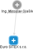 Euro SITEX s.r.o. - obrázek vizuálního zobrazení vztahů obchodního rejstříku