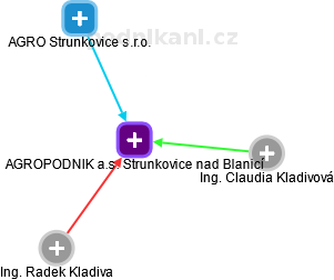AGROPODNIK a.s. Strunkovice nad Blanicí - obrázek vizuálního zobrazení vztahů obchodního rejstříku