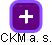 CKM a. s. - obrázek vizuálního zobrazení vztahů obchodního rejstříku