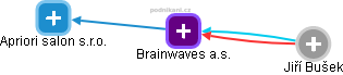 Brainwaves a.s. - obrázek vizuálního zobrazení vztahů obchodního rejstříku