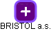 BRISTOL a.s. - obrázek vizuálního zobrazení vztahů obchodního rejstříku