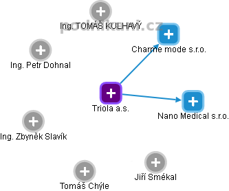 Triola a.s. - obrázek vizuálního zobrazení vztahů obchodního rejstříku