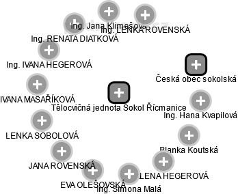 Tělocvičná jednota Sokol Řícmanice - obrázek vizuálního zobrazení vztahů obchodního rejstříku