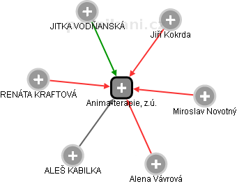 Anima-terapie, z.ú. - obrázek vizuálního zobrazení vztahů obchodního rejstříku