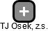 TJ Osek, z.s. - obrázek vizuálního zobrazení vztahů obchodního rejstříku