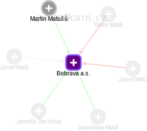 Bobrava a.s. - obrázek vizuálního zobrazení vztahů obchodního rejstříku