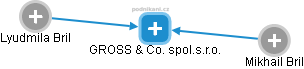 GROSS & Co. spol.s.r.o. - obrázek vizuálního zobrazení vztahů obchodního rejstříku