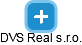 DVS Real s.r.o. - obrázek vizuálního zobrazení vztahů obchodního rejstříku