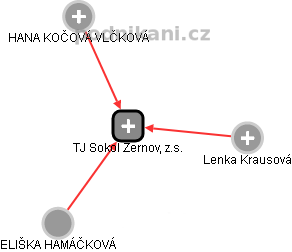 TJ Sokol Žernov, z.s. - obrázek vizuálního zobrazení vztahů obchodního rejstříku