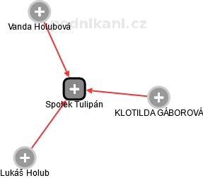 Spolek Tulipán - obrázek vizuálního zobrazení vztahů obchodního rejstříku