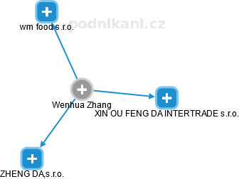  Wenhua Z. - Vizualizace  propojení osoby a firem v obchodním rejstříku