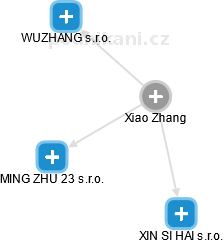 Xiao Zhang - Vizualizace  propojení osoby a firem v obchodním rejstříku